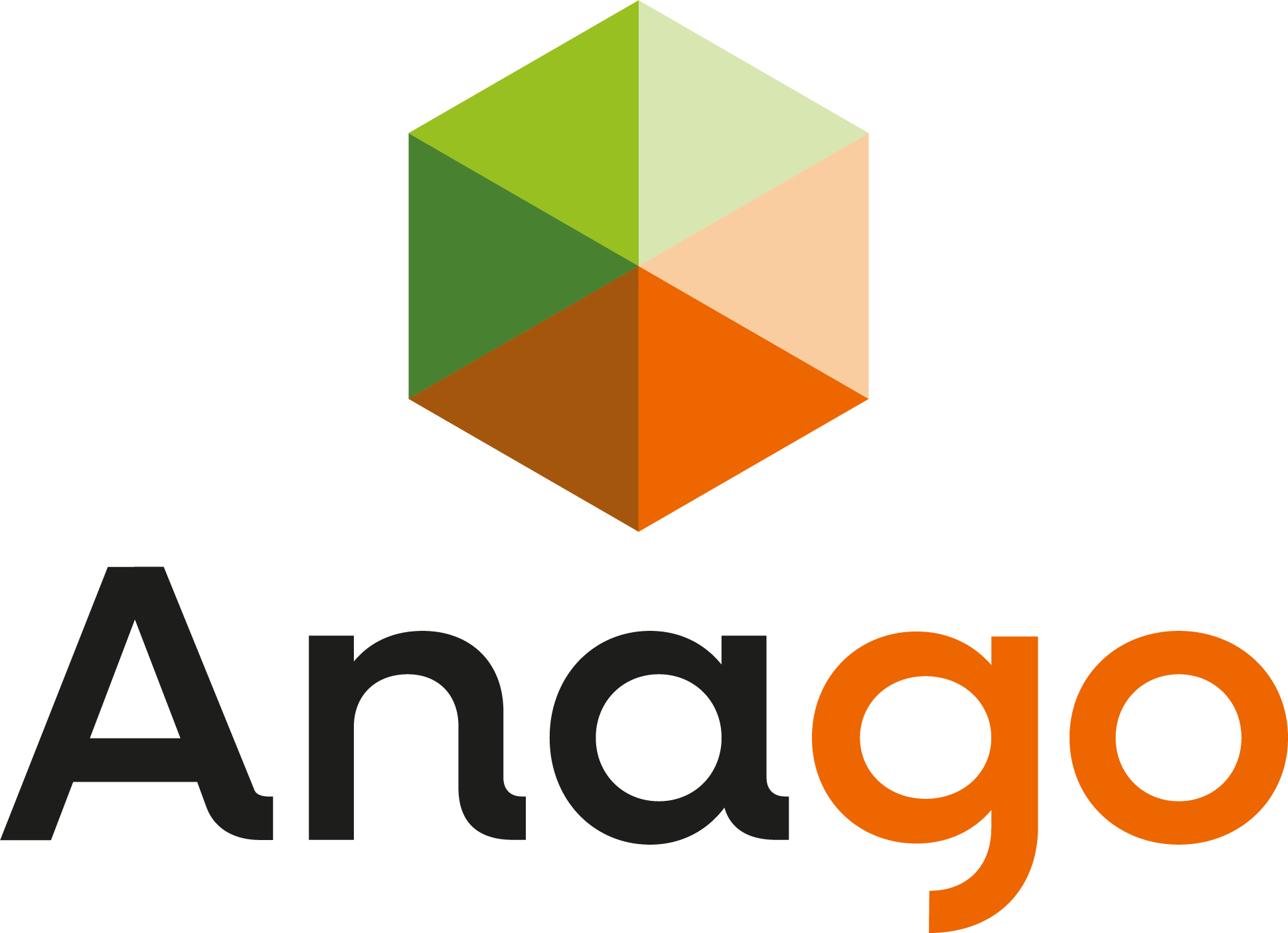 Anago Education